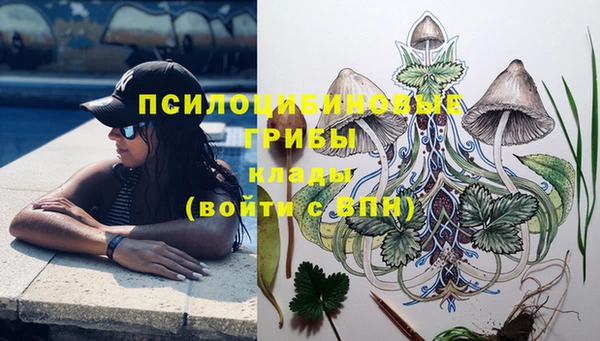 mdma Нязепетровск