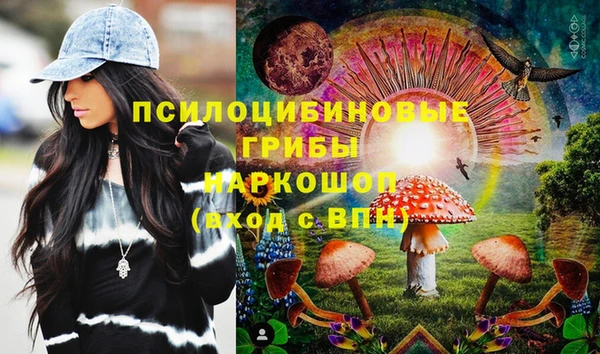 дурь Пересвет