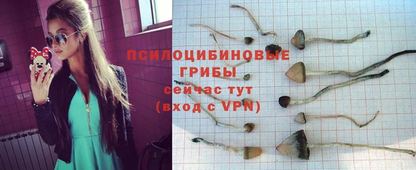 mdma Няндома